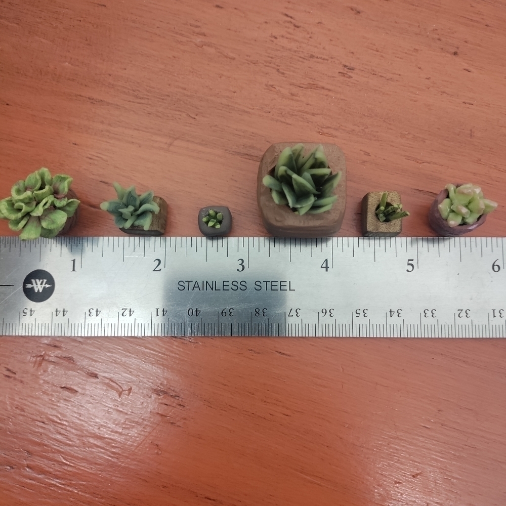 6 Polymer clay & tiger maple potted plants - Picture 4 of 11